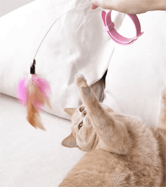 Interactive Feather Cat Teaser Wand with Bell