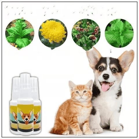 Pet Potty Training Spray