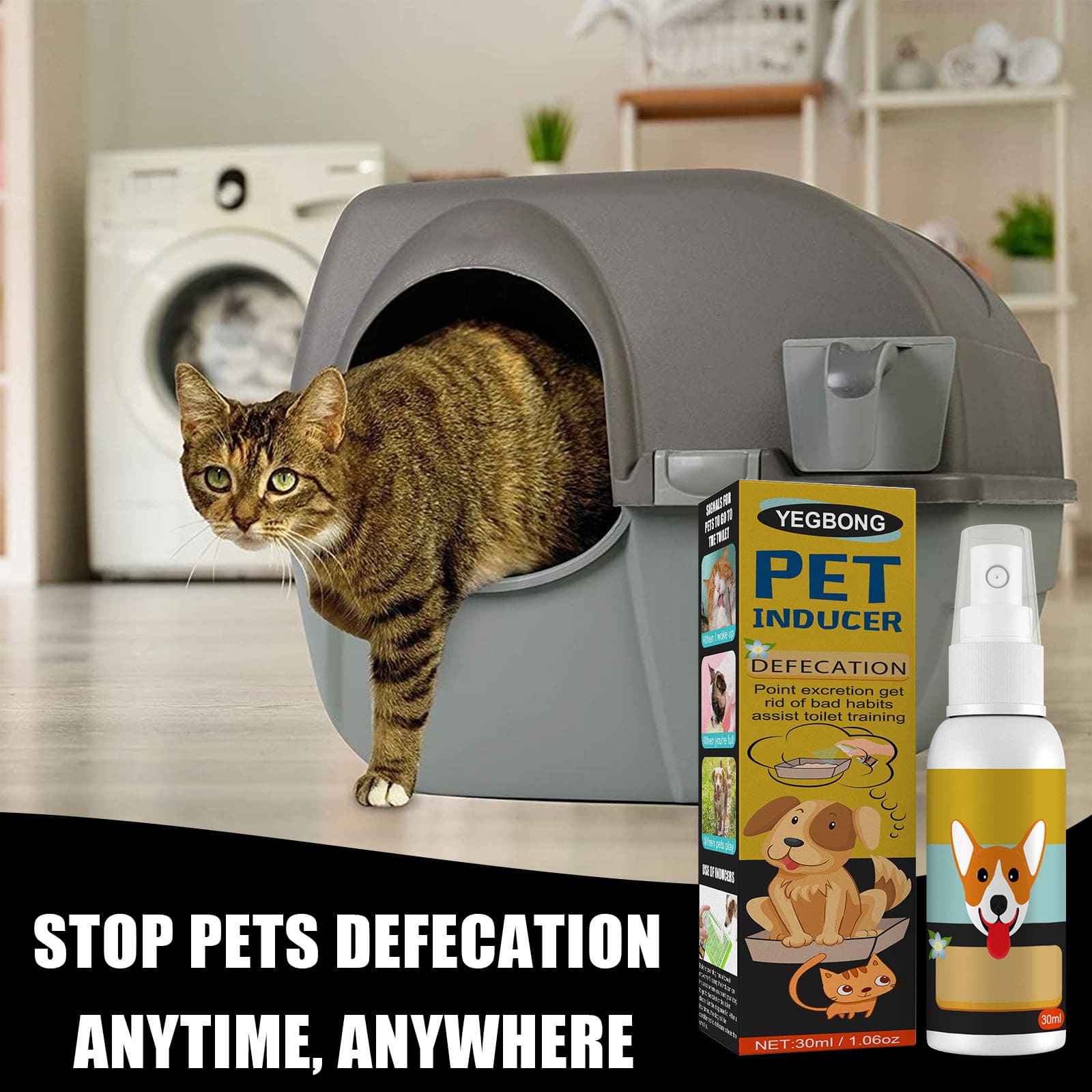 Pet Potty Training Spray