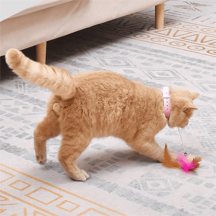 Interactive Feather Cat Teaser Wand with Bell